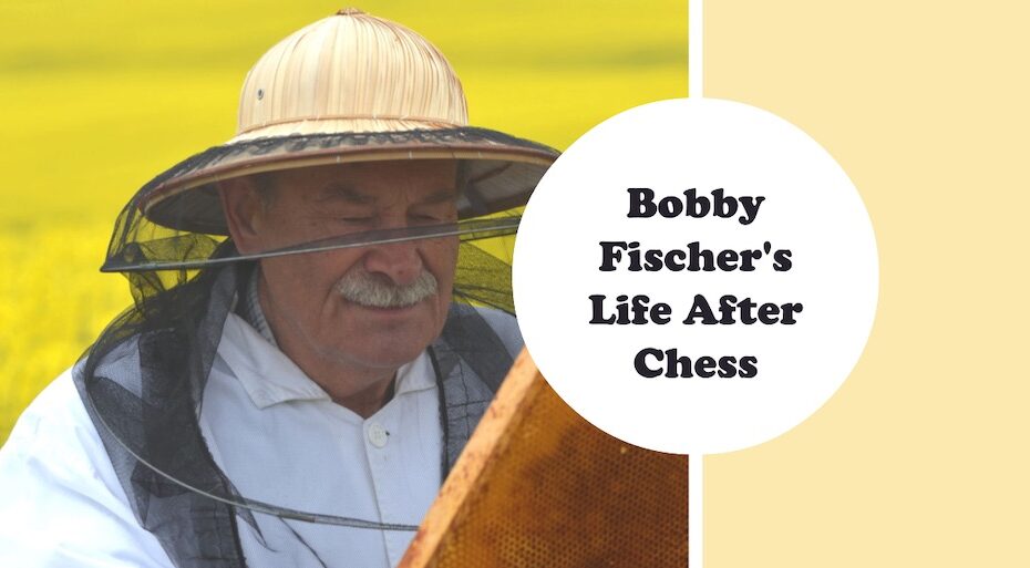 what Did Bobby Fischer Do After Chess?